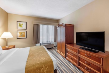 Suite, 1 King Bed with Sofa bed