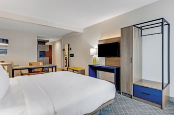 Suite, 1 King Bed with Sofa bed
