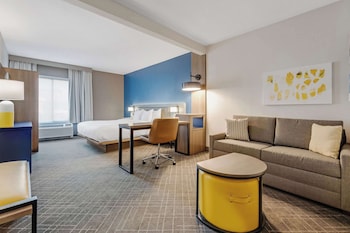 Suite, 1 King Bed with Sofa bed