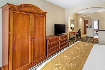 Suite, 1 King Bed with Sofa bed