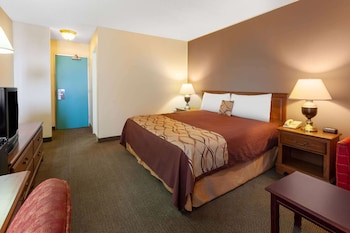 Room, 1 King Bed, Non Smoking