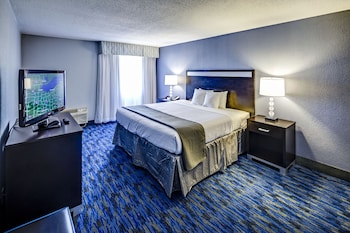 Suite, 1 King Bed (Additional Living Area)