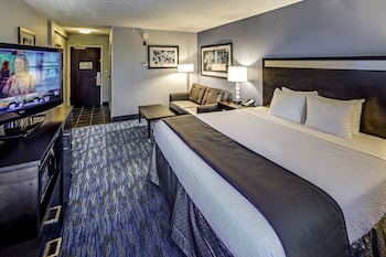 Standard Room, 1 King Bed with Sofa bed