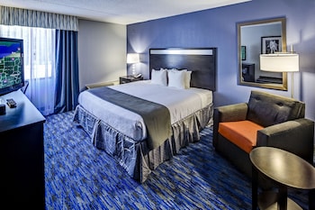 Standard Room, 1 King Bed, Accessible (Mobility, Roll-In Shower)