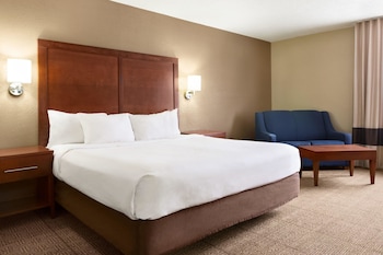 Room, 1 King Bed, Non Smoking
