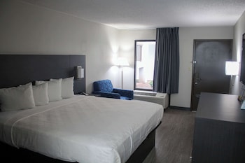 Suite, 1 King Bed with Sofa bed, Accessible, Non Smoking (Roll-In Shower)