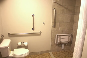 Suite, 1 King Bed with Sofa bed, Accessible, Non Smoking (Roll-In Shower)