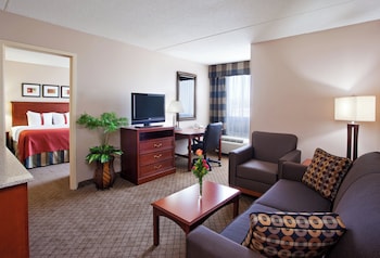 Suite, 1 King Bed with Sofa bed