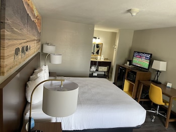 Business Room, 1 King Bed, Non Smoking