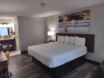 Business Room, 1 King Bed, Non Smoking