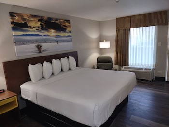 Business Room, 1 King Bed, Non Smoking