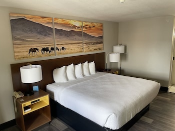 Business Room, 1 King Bed, Non Smoking