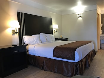 Room, 1 King Bed, Non Smoking