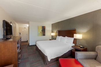 Standard Room, 1 King Bed, Accessible, Refrigerator & Microwave (Walk-in Shower)