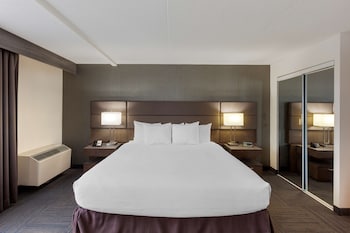 Suite, 1 King Bed, Non Smoking, Kitchenette (with Sofabed)