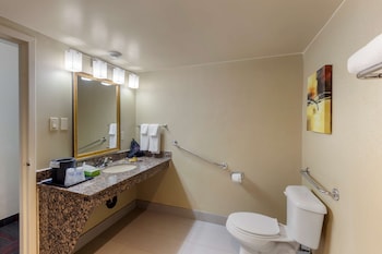 Standard Room, 1 King Bed, Accessible, Refrigerator & Microwave (Walk-in Shower)