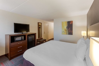 Standard Room, 1 King Bed, Accessible, Refrigerator & Microwave (Walk-in Shower)