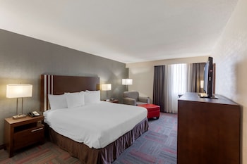 Standard Room, 1 King Bed, Accessible, Refrigerator & Microwave (Walk-in Shower)