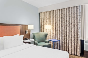 Room, 1 King Bed, Accessible, Non Smoking