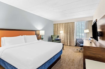Room, 1 King Bed, Accessible, Non Smoking