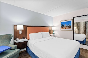 Room, 1 King Bed, Accessible, Non Smoking
