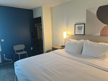 Room, 1 King Bed, Accessible (Roll-In Shower)
