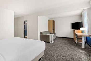 Room, 1 King Bed with Sofa bed, Accessible, Bathtub (Mobility)