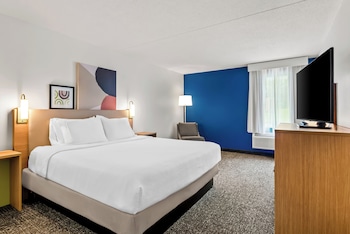 Room, 1 King Bed, Accessible, Bathtub (Mobility)