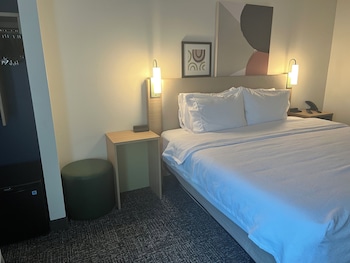 Room, 1 King Bed, Accessible (Roll-In Shower)