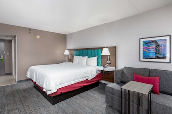 Room, 1 King Bed, Non Smoking, Refrigerator & Microwave