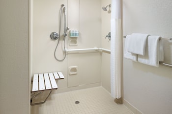 Room, 1 King Bed with Sofa bed (Mobility/Hearing Access, Roll-In Shwr)