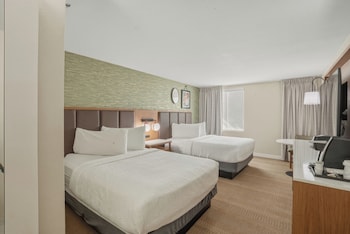 Standard Room, 2 Double Beds