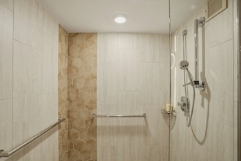 Standard Room, 1 King Bed, Roll-in Shower
