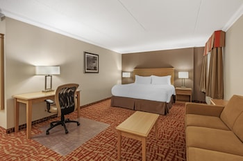 Business Room, 1 King Bed, Non Smoking, Jetted Tub (with Sofabed)