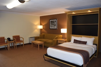 Standard Room, 1 Queen Bed, Accessible, Non Smoking (with Sofabed)
