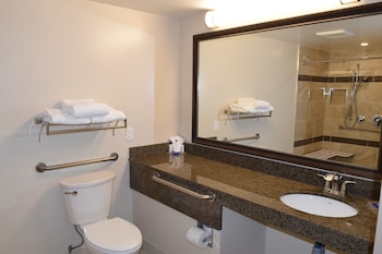 Standard Room, 1 Queen Bed, Accessible, Non Smoking (with Sofabed)
