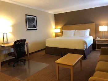 Business Room, 1 King Bed, Non Smoking, Jetted Tub (with Sofabed)