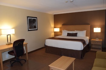 Business Room, 1 King Bed, Non Smoking, Jetted Tub (with Sofabed)