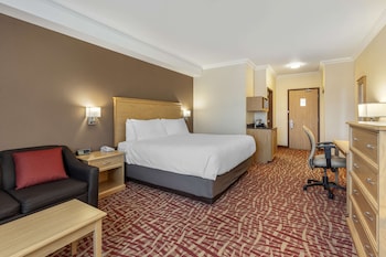 Standard Room, 1 King Bed, Non Smoking, Refrigerator (with Sofabed)