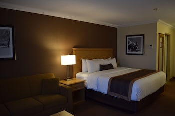 Standard Room, 1 King Bed, Non Smoking, Refrigerator (with Sofabed)