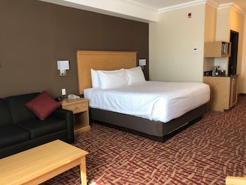 Standard Room, 1 King Bed, Non Smoking, Refrigerator (with Sofabed)