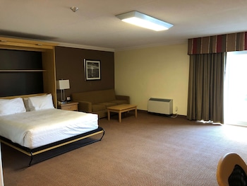 Standard Room, 1 Queen Bed, Accessible, Non Smoking (with Sofabed)