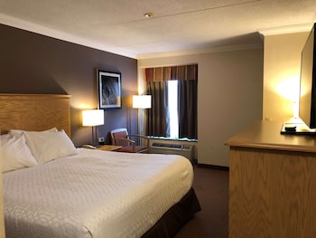 Standard Room, 1 King Bed, Non Smoking