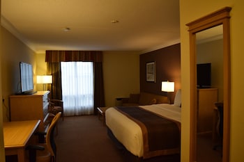 Standard Room, 1 King Bed, Non Smoking, Refrigerator (with Sofabed)