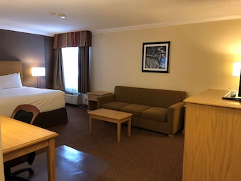 Business Room, 1 King Bed, Non Smoking, Jetted Tub (with Sofabed)