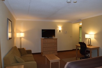 Business Room, 1 King Bed, Non Smoking, Jetted Tub (with Sofabed)
