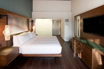 Room, 1 King Bed