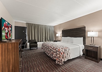 Deluxe Room, 1 King Bed, Accessible, Non Smoking (Roll-In Shower)