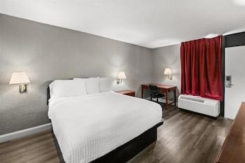 Room, 1 Queen Bed