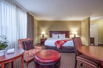 Efficiency, Room, 1 King Bed, Non Smoking